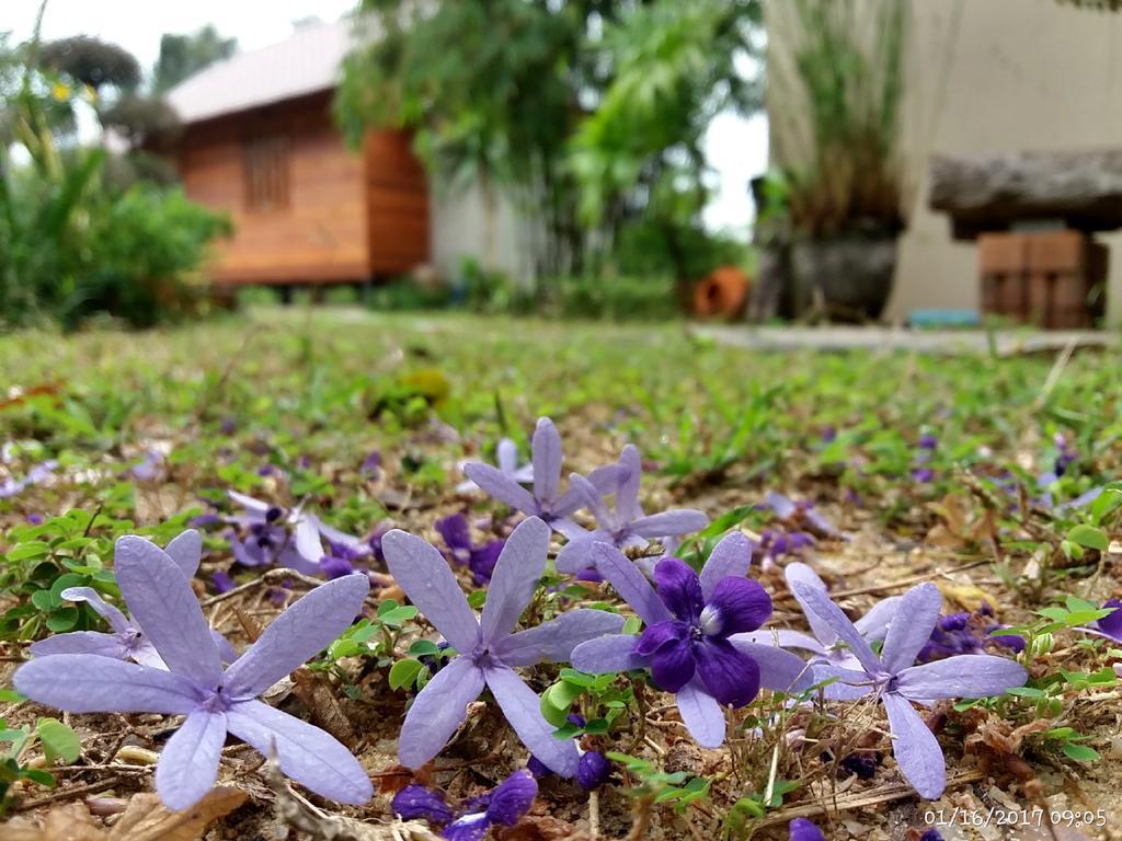 Rai Lung Tui Homestay Prachuap Khiri Khan Exterior foto