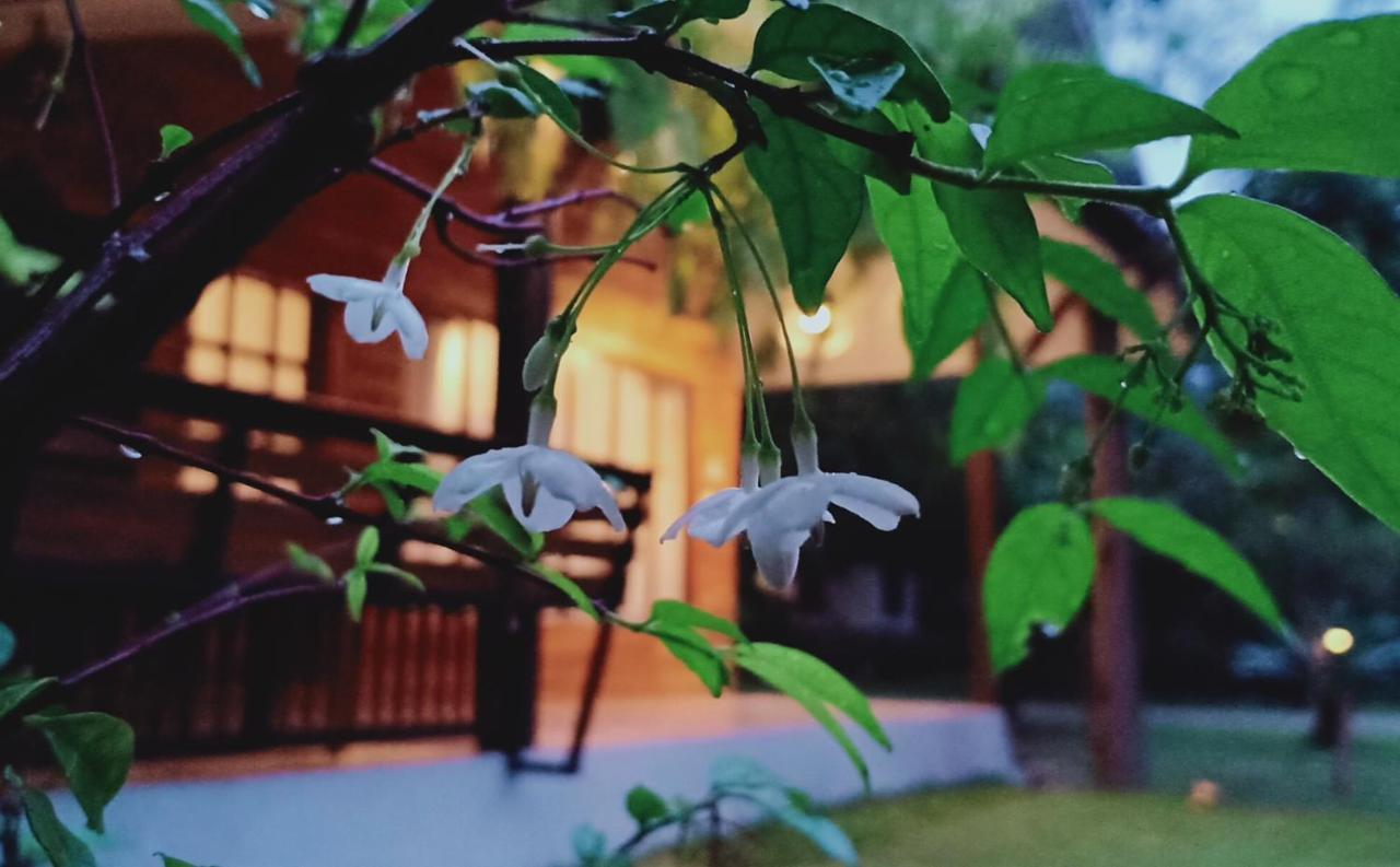 Rai Lung Tui Homestay Prachuap Khiri Khan Exterior foto